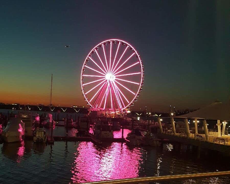 Pink Lights at Capital Wheel