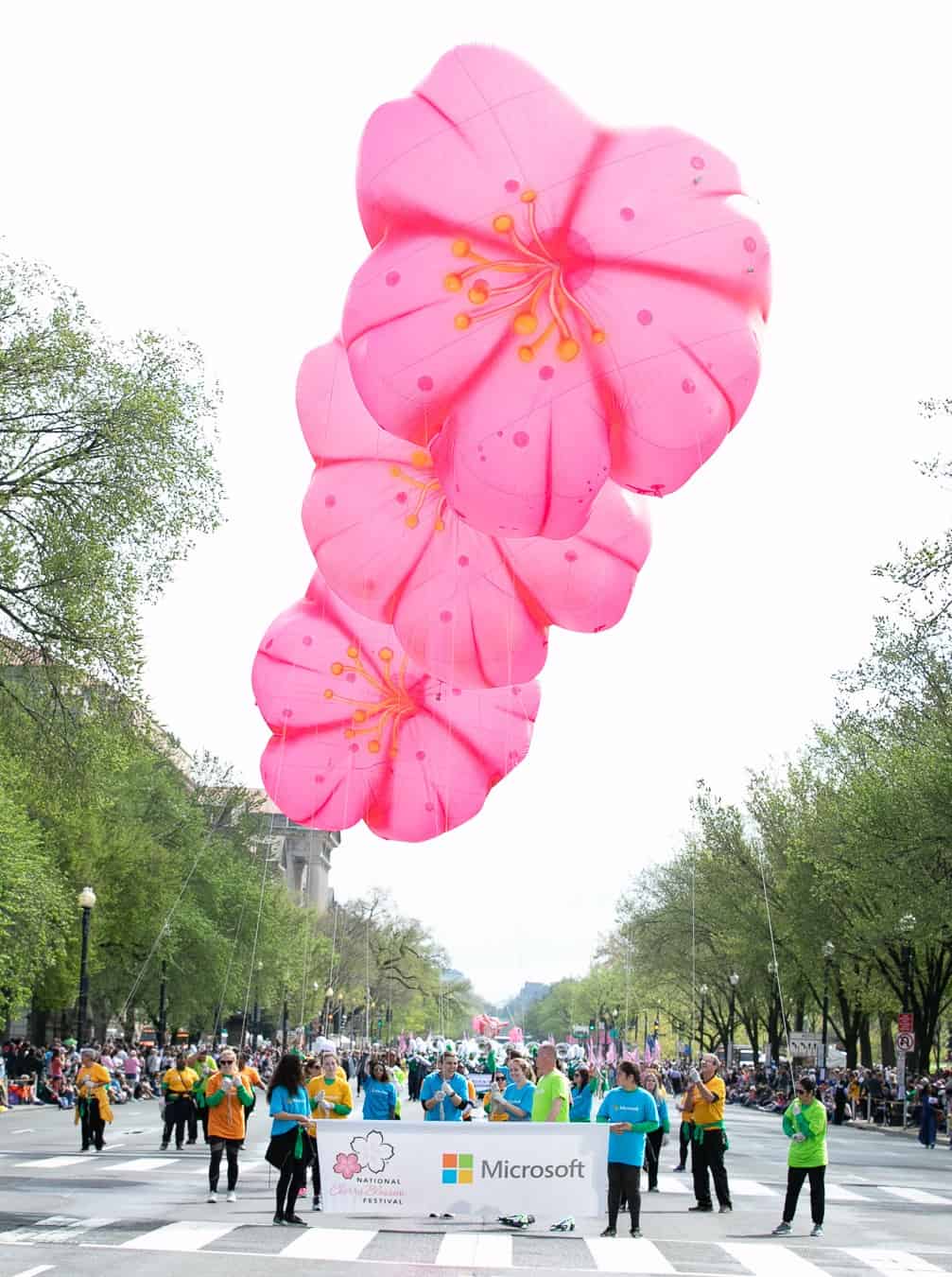 Cherry Blossom kites being flown at National Cherry Blossom Festival Parade