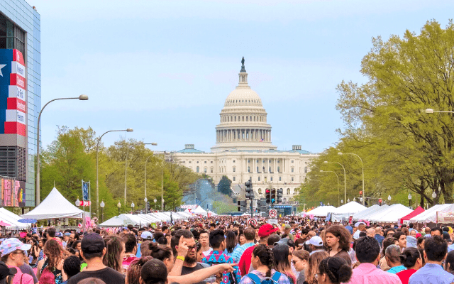 Sakura Matsuri - Japanese Street Festival - National Cherry Blossom Festival