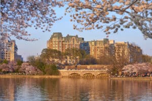 Exterior of Mandarin Oriental Hotel with Cherry Blossoms