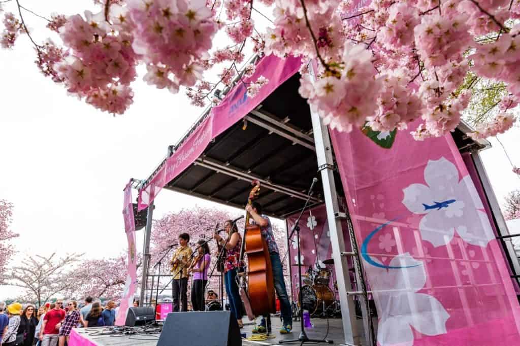 Image of the stage at the Tidal Basin, cherry blossoms in foreground.