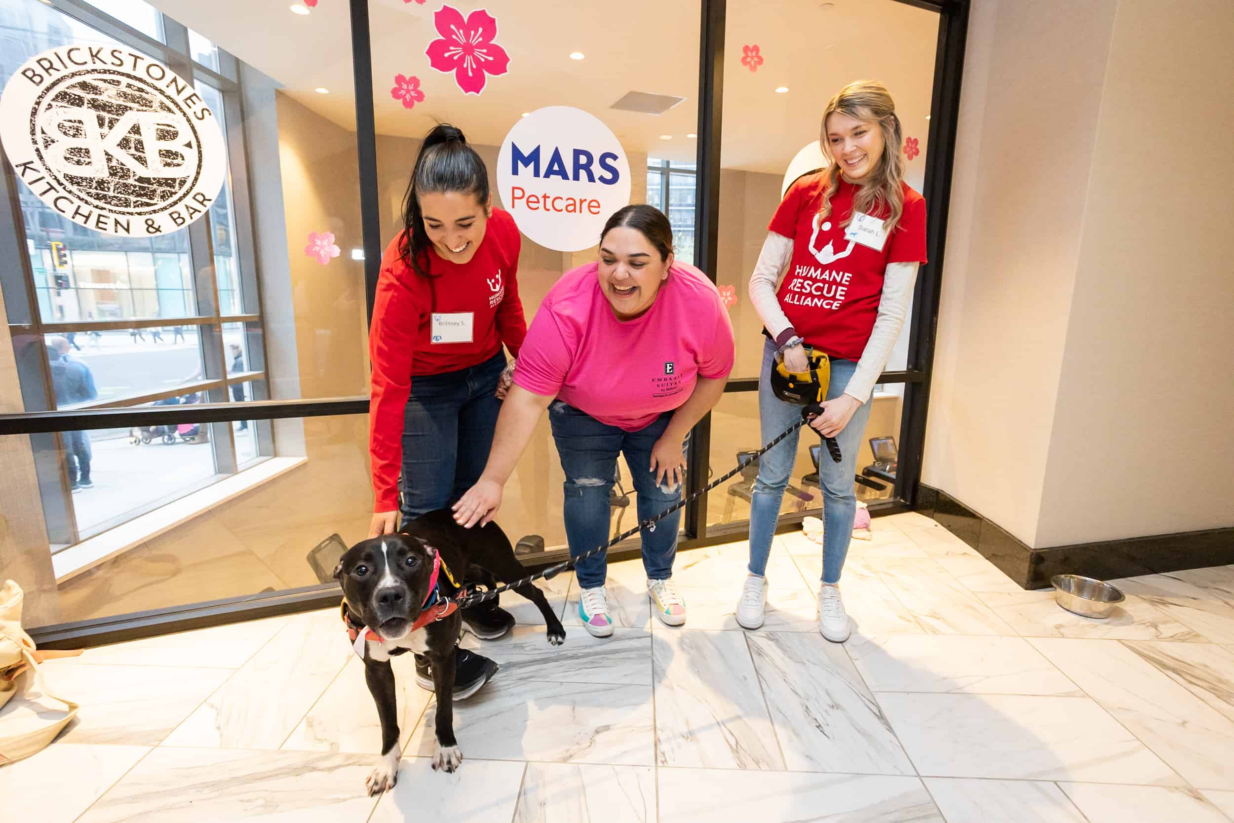 2nd Annual Yappy Hour Pup Swim National Cherry Blossom Festival