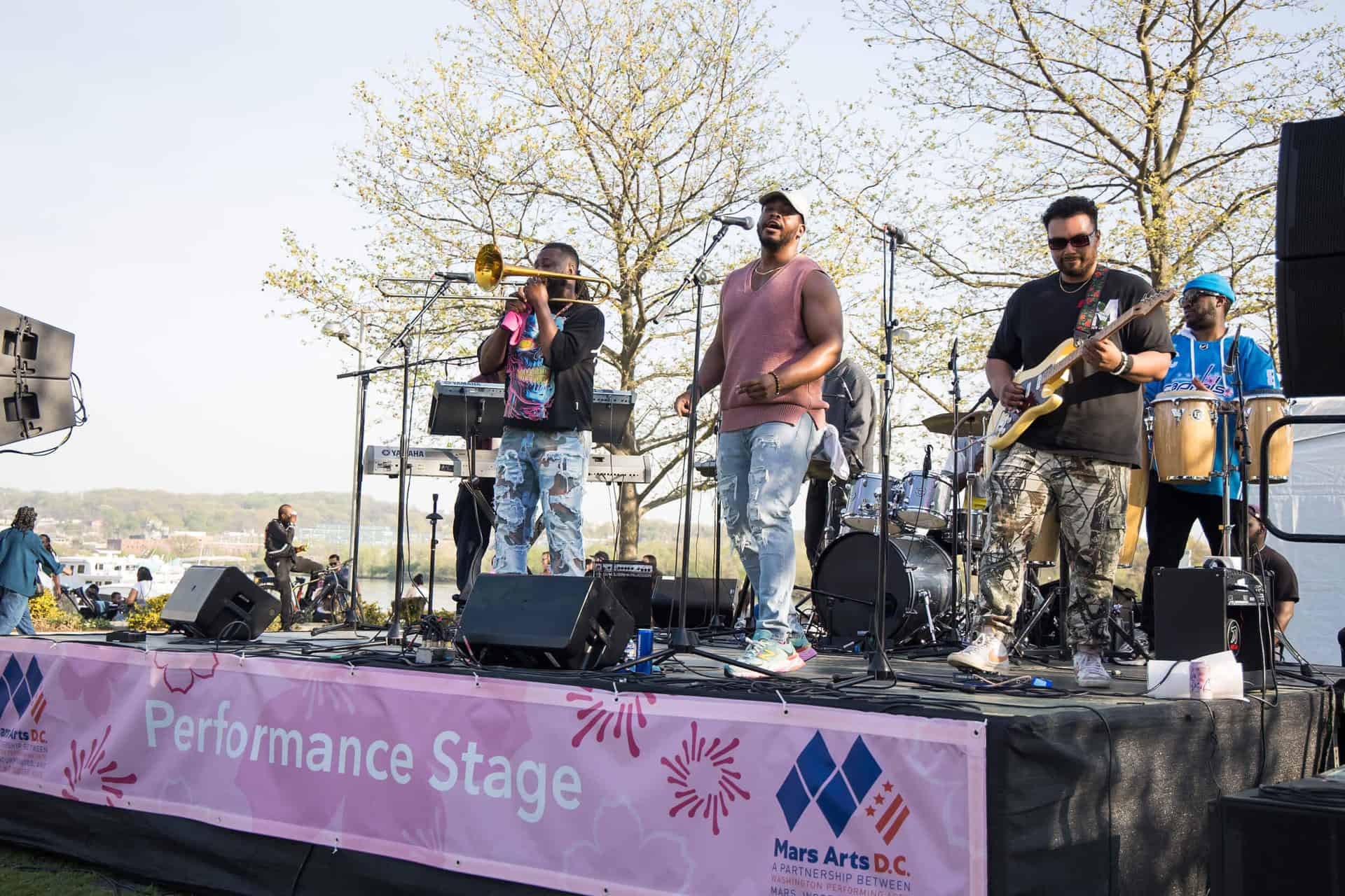 National Cherry Blossom Festival