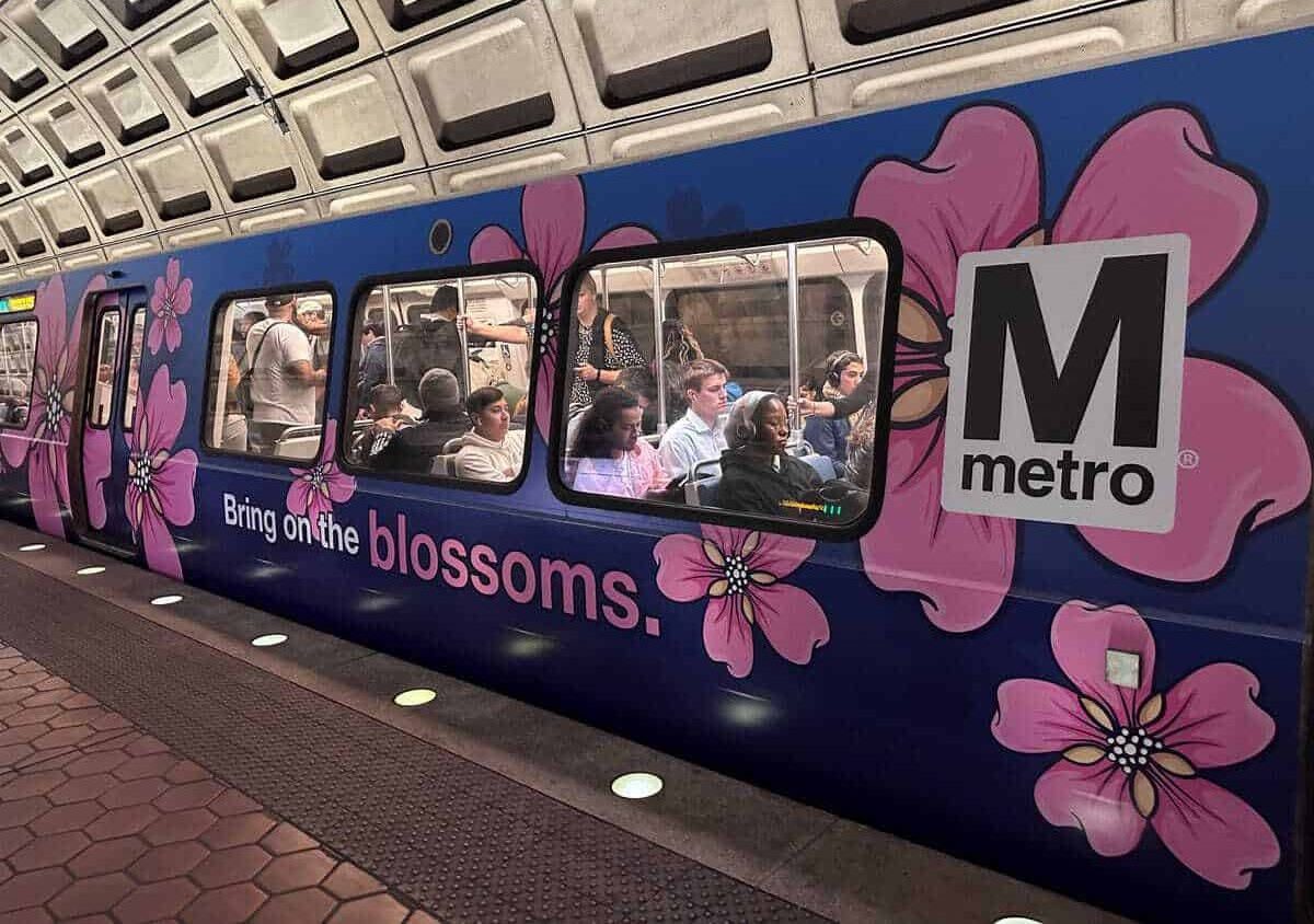 Metrorail car with cherry blossoms