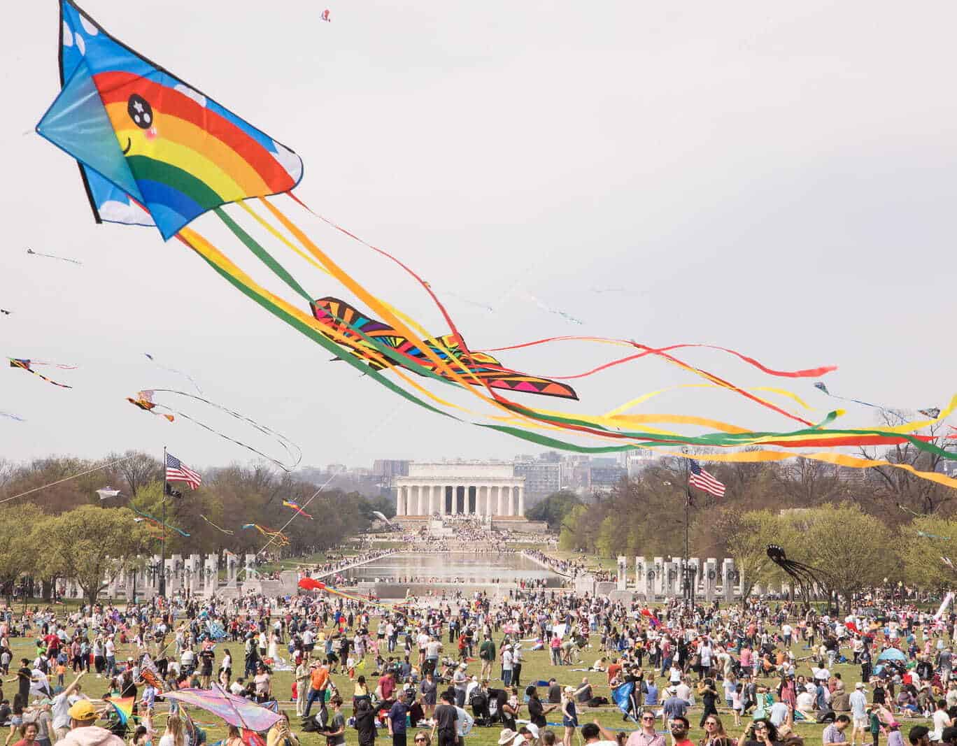 NCBF Blossom Kite Festival - Jason Dixson Photography - 250329 - 12 - 02 - 58 - 1678-X3 (3) (1)