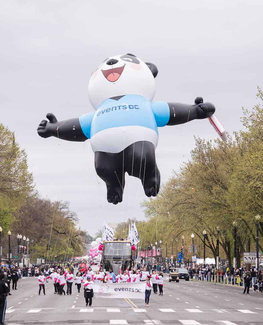 All Events - National Cherry Blossom Festival