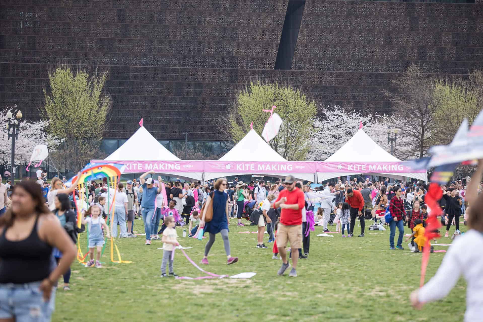 NCBF20Blossom20Kite20Festival20-20Jason20Dixson20Photography20-2025032920-201120-201820-205220-207715