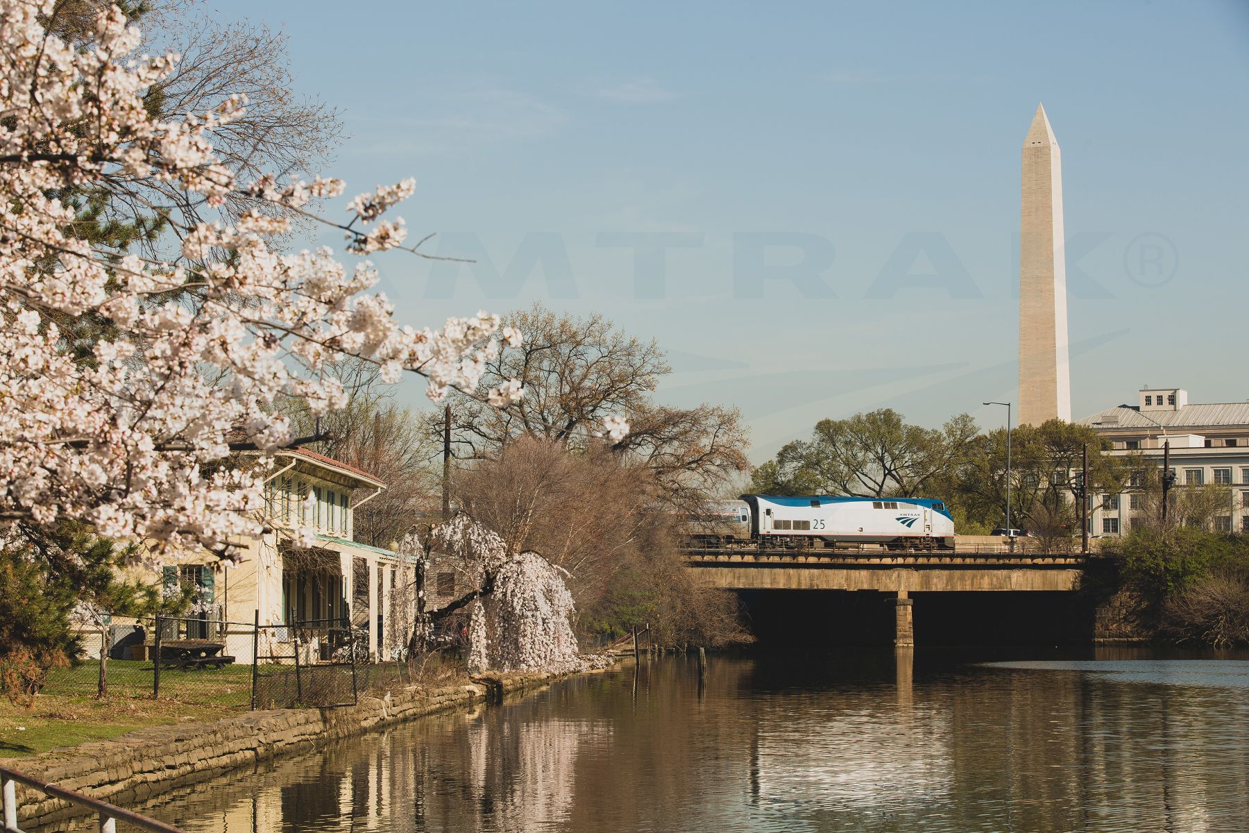 Amtrak_WAS Cherry Blossoms_April 23 2014_Photog CGomez_WM