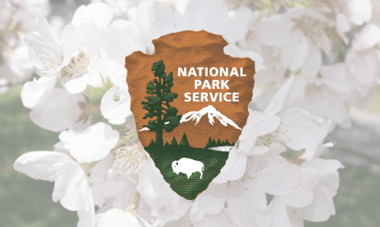 National Park Service Logo and Cherry Blossoms